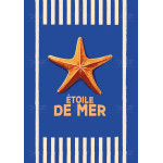DOZ Poster - Sea Collection - Starfish