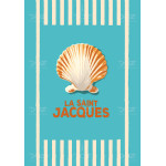 DOZ Poster - Sea Collection - Scallops