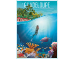 Affiche DOZ Guadeloupe - La plongée